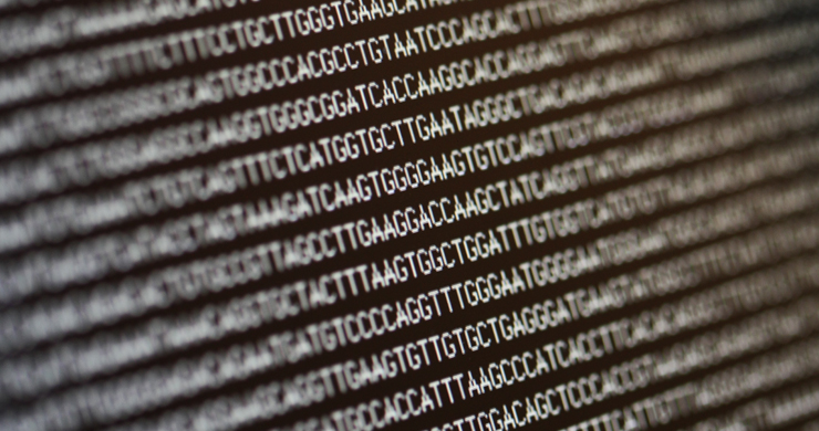 Revealing the dynamic epigenome through molecular and computational analysis