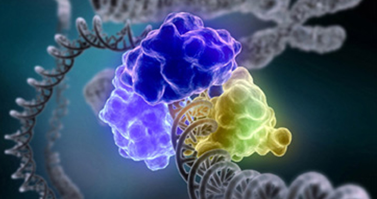 Developing molecular tools to engineer the epigenome